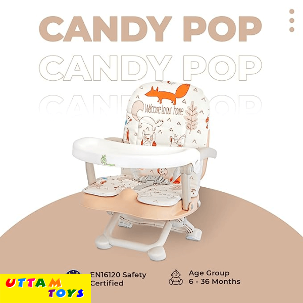 R for Rabbit Candy Pop Booster Chair