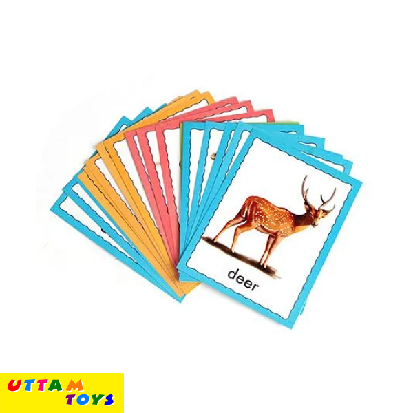 Creative Discover Animals Flash Cards - 36 Cards