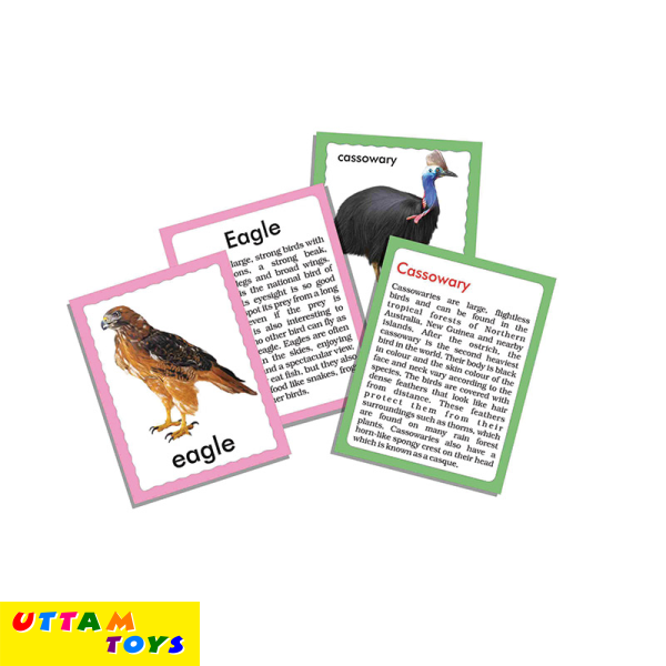 Creative's Discover Birds 36 Jumbo Flash Cards