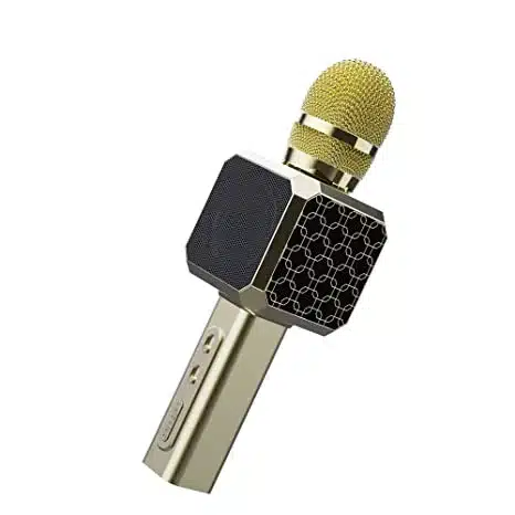 Landmark Bt58 Handheld Wireless Singing Mic Multi-Function Bluetooth Karaoke Microphone with Inbuilt Bluetooth Speaker, Re