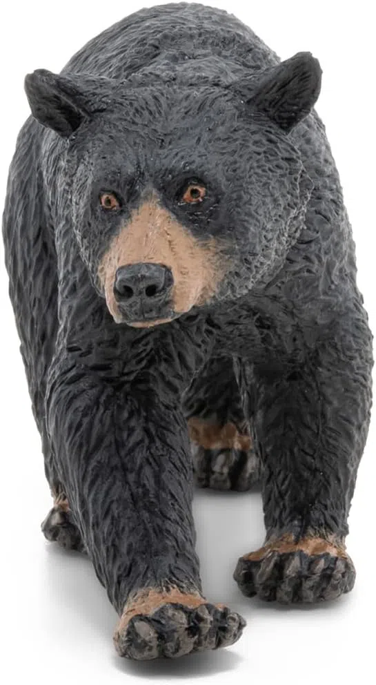 Bear schleich best sale