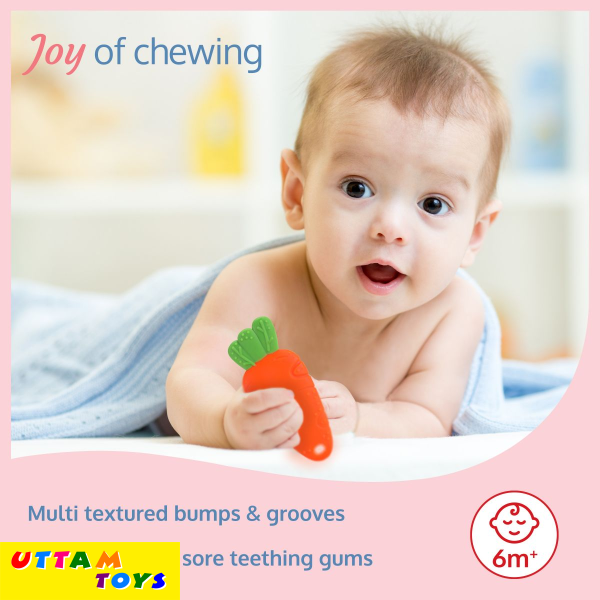 LuvLap Baby Silicone Teether (Orange, White & Green)