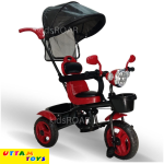 Lovebaby Umbrella Tricycle Model 5003