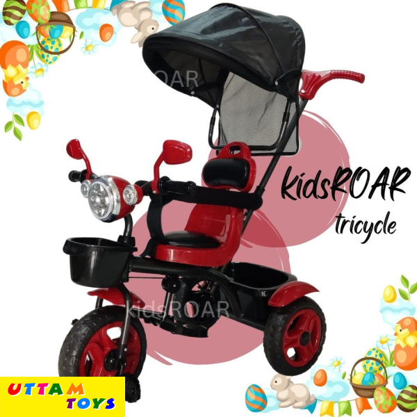 Lovebaby Umbrella Tricycle Model 5003